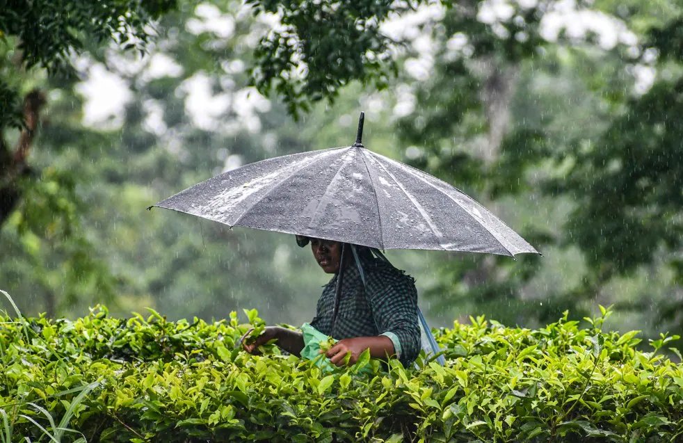 देश में अब भी बारिश की कमी, झमाझम मॉनसून से भी नहीं हुई पूरी; बना हुआ है सूखे का खतरा? | monsoon season rainfall monsoon rain update tomorrow weather