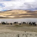 लद्दाख में ऑफ-रोडिंग पर सख्ती, 12 बाइकर्स पर 1.2 लाख का जुर्माना; पर्यटकों को चेतावनी | Ladakh Crackdown on off-roading 12 bikers fined Rupees 1.2 lakh warning issued tourists 