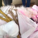 मालिक की अर्थी उठी तो थम गई पालतू कुत्ते की सांसें, 15 साल की वफादारी की इस कहानी ने सबको रुला दिया | dog dies after owner funeral betul mp viral dog loyalty story pet emotional human animal bond