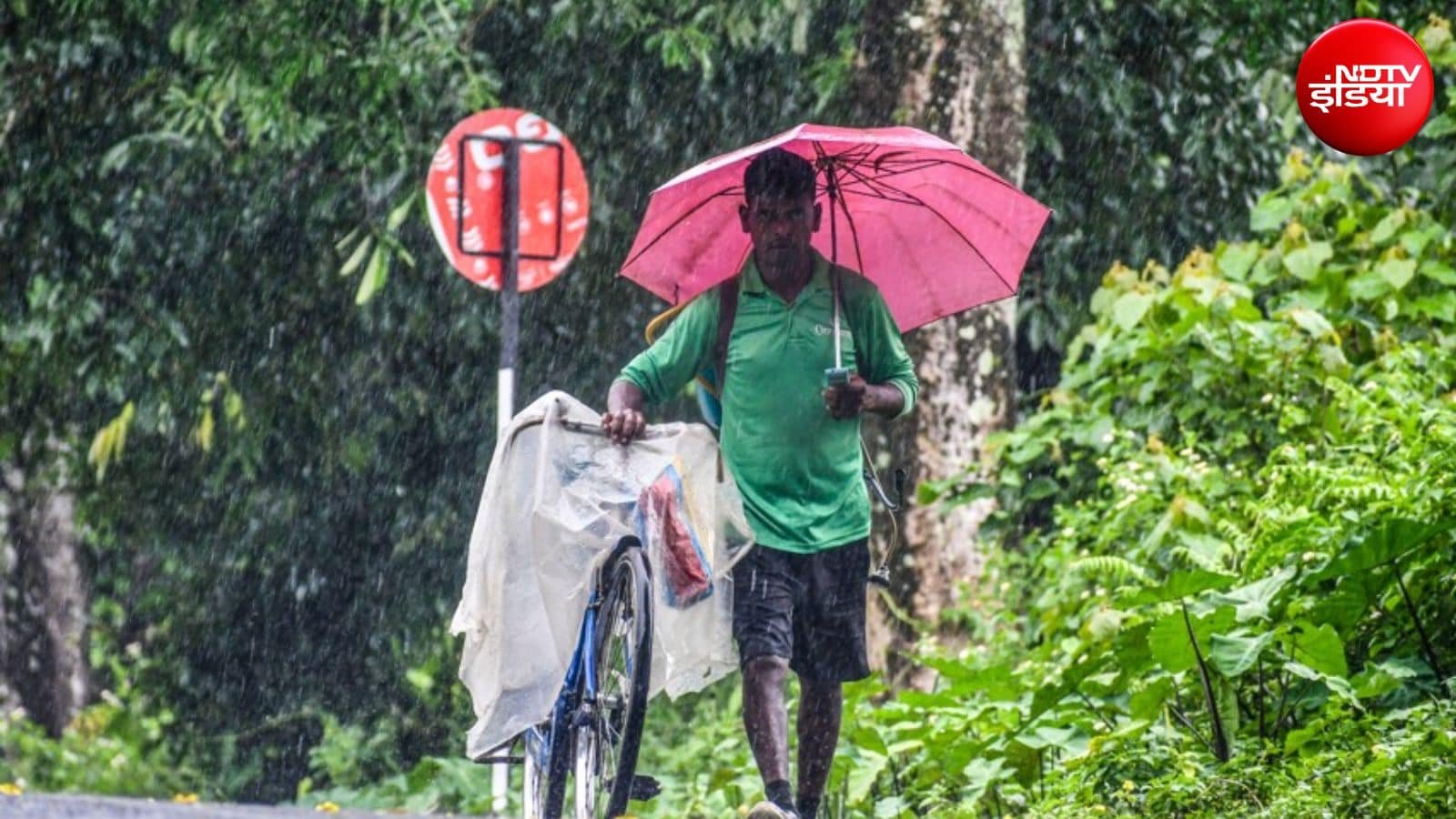 देशभर में मॉनसून की झमाझम बारिश, रविवार को भी गरज कर बरसेंगे बदरा; IMD का अलर्ट जारी | Monsoon rain tomorrows weather weather update IMD alert